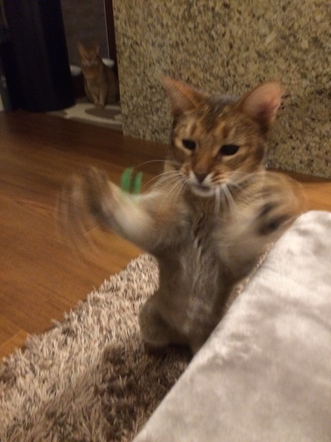 {629B21D6-C2B1-4A26-A06C-DB64B5394E80:01}