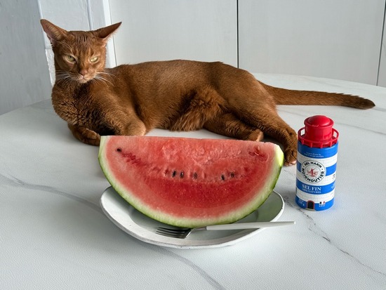 FullSizeRender