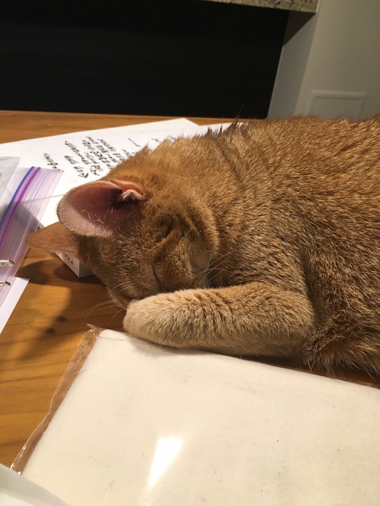 9C723F64-8B30-4B43-B0DE-65C64CE9F6B3