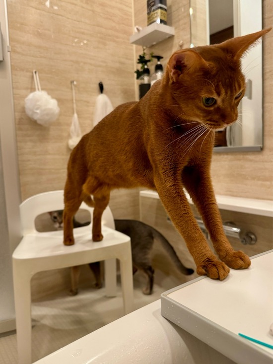 FullSizeRender