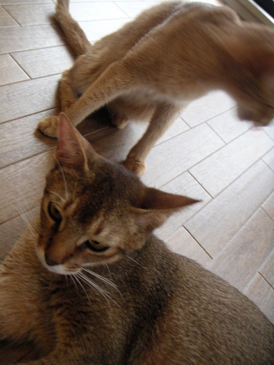 PICT0241