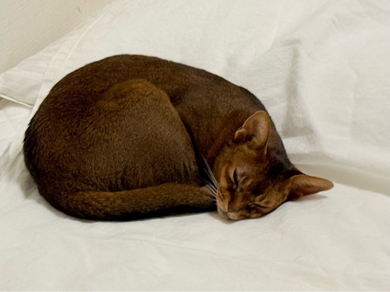 FullSizeRender