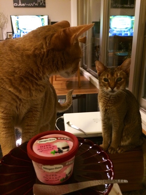 {4DB4DD1B-3D35-414C-895F-FFE213807CCF:01}