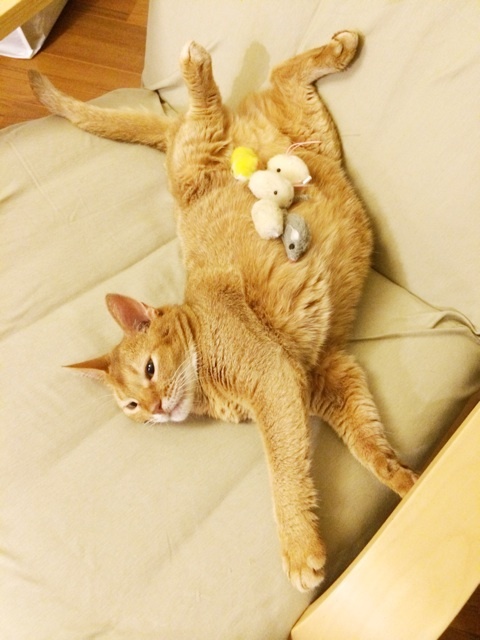 {69099230-0313-405B-84CE-BEFF126BC9B3:01}