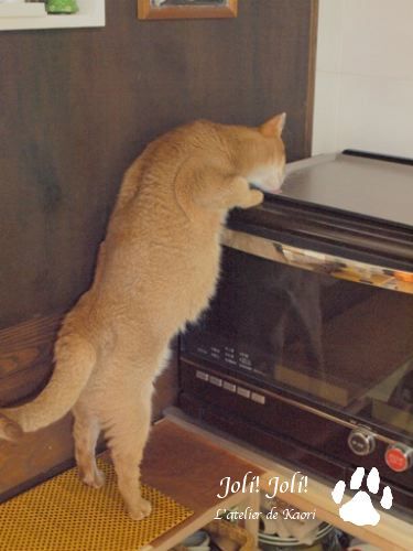 joli!joli!のおうちごはんとおかしとねこ♪