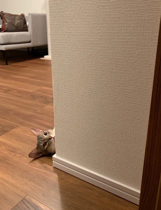 FullSizeRender