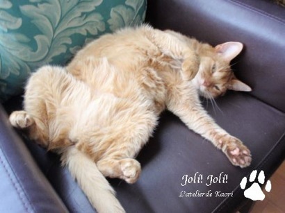 joli!joli!のおうちごはんとおかしとねこ♪