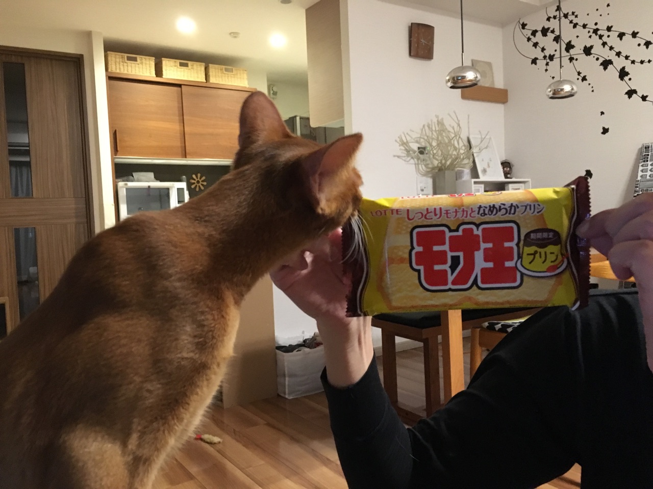 プリン味のモナ王 おうちごはんとおかしとねこ Powered By ライブドアブログ プリン味のモナ王 おうちごはんとおかしとねこ Powered By ライブドアブログ