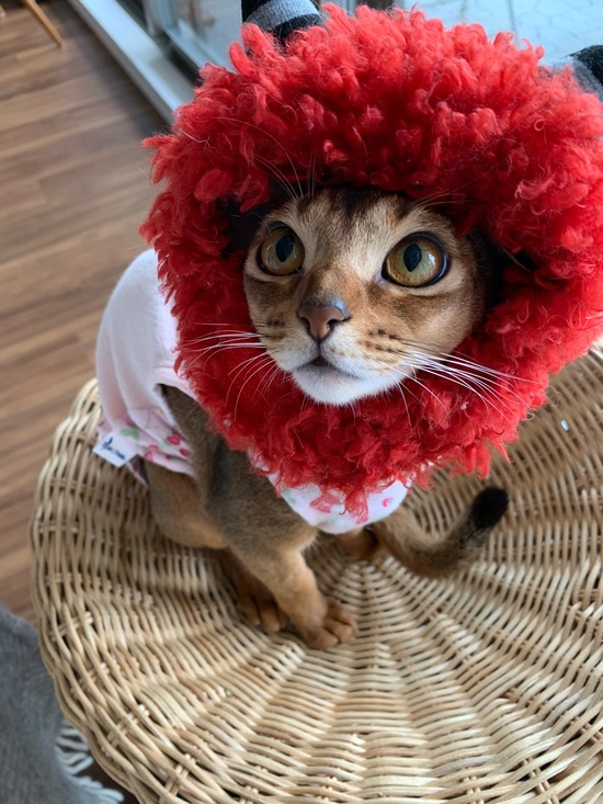 71EAD193-082E-47E4-B638-2A7EA1627470