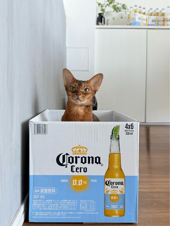 FullSizeRender