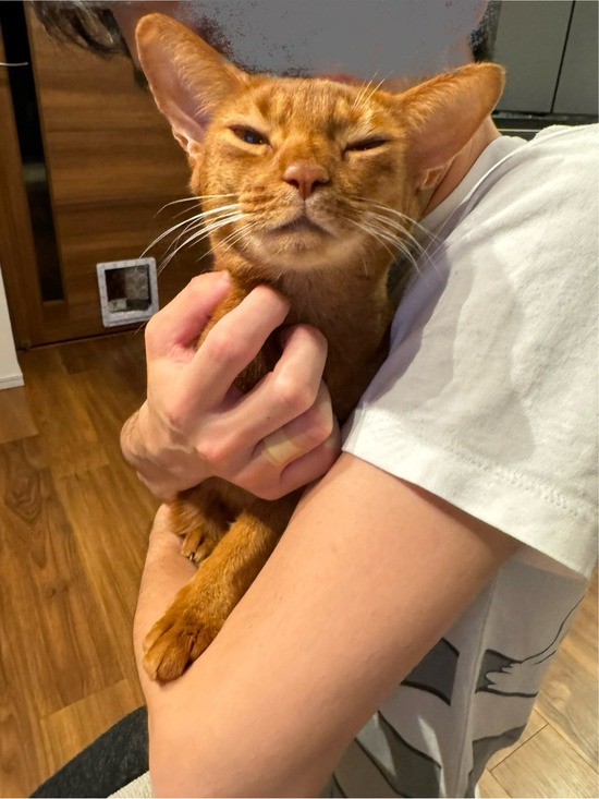 FullSizeRender