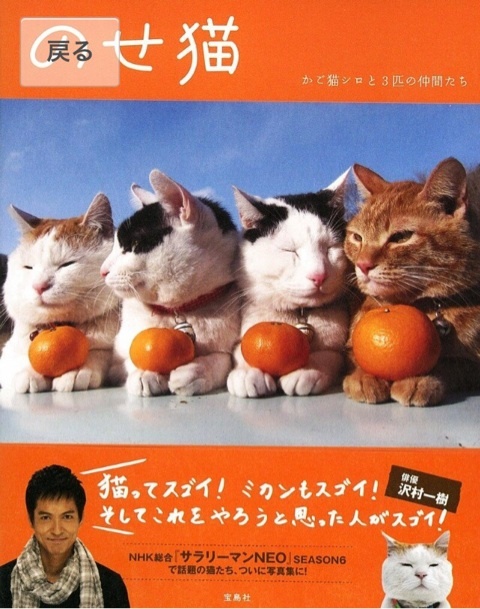 {7F1A49C2-2D67-40CB-B1A0-4671375361F1:01}