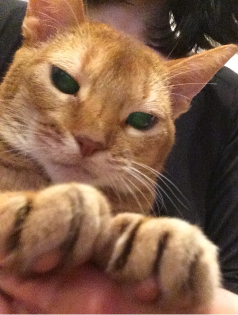 {4737E485-65AC-462D-9411-DE02C0B74911:01}