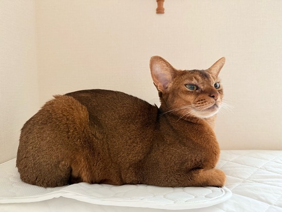FullSizeRender