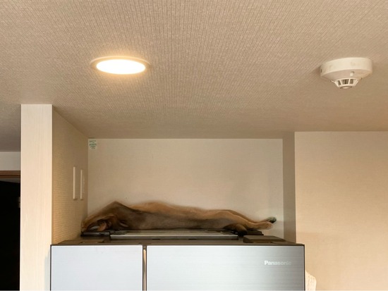 FullSizeRender