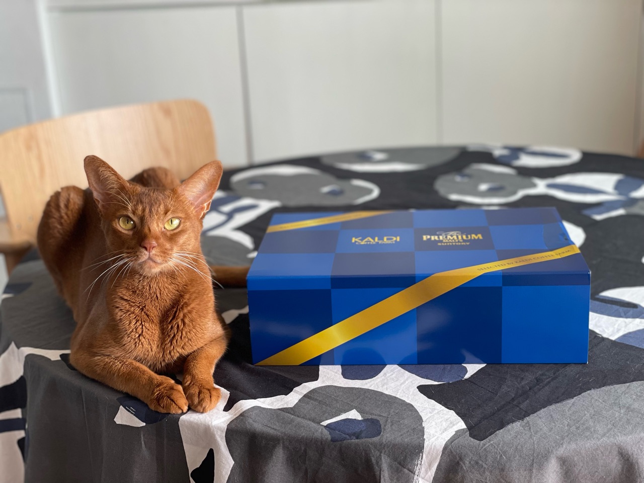 そういえば…すっかり忘れてたのだけど、プレミアムモルツの懸賞