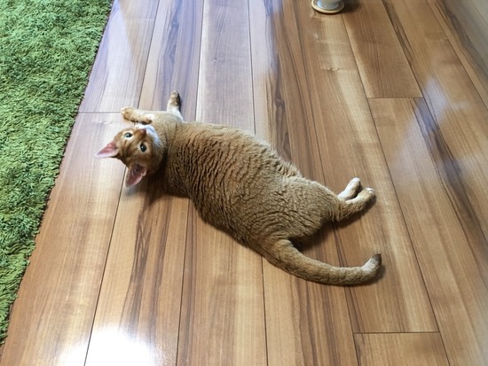 48D1C118-CE44-496C-BAFD-709ADCF622F4