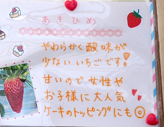 P3102740 のコピー 8