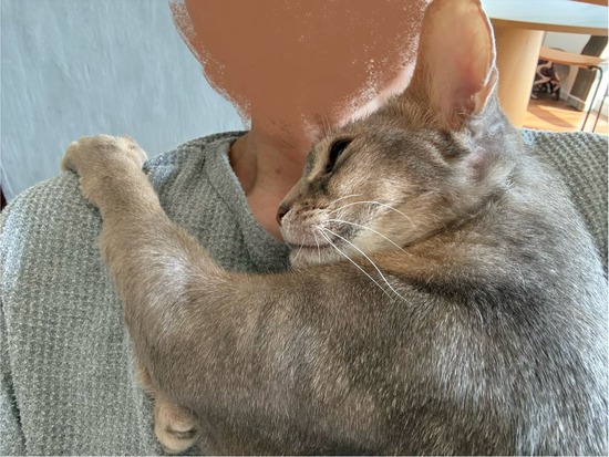FullSizeRender