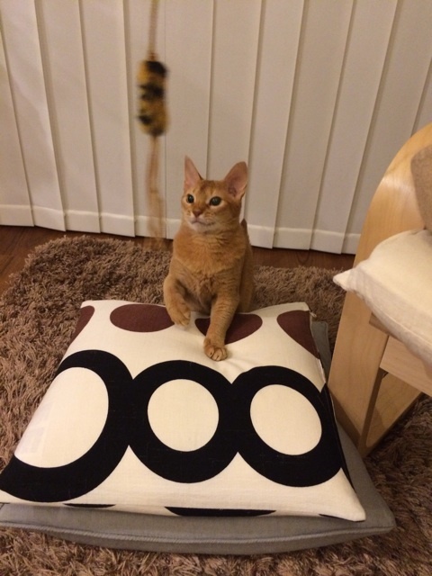 {DE762266-A4D2-4963-AFED-3CE047FBCB0B:01}