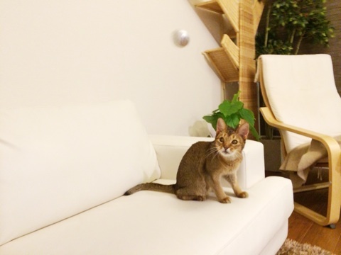 {51030C73-C327-41E7-982A-A98B7DC6B0EB:01}