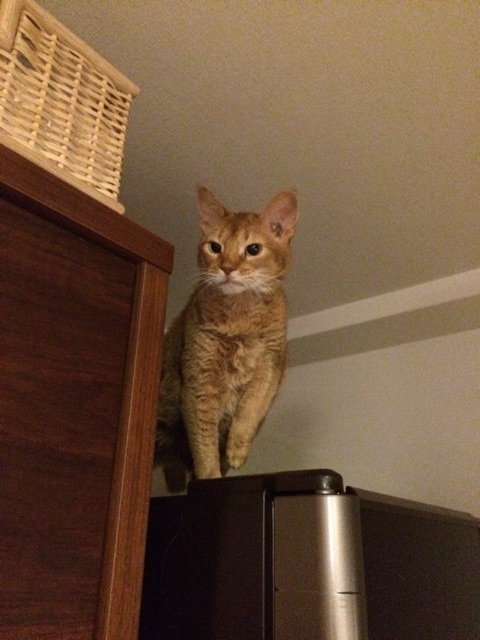 {1FDFDDCC-9D8F-40B8-BBD7-578F8381B0E9:01}