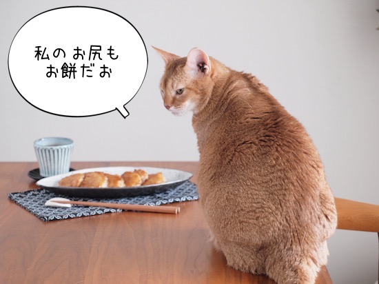 P1019166 のコピー