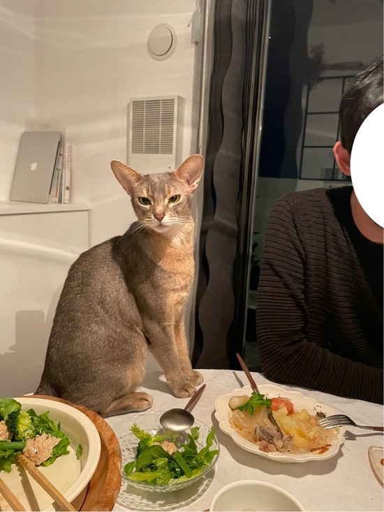 FullSizeRender