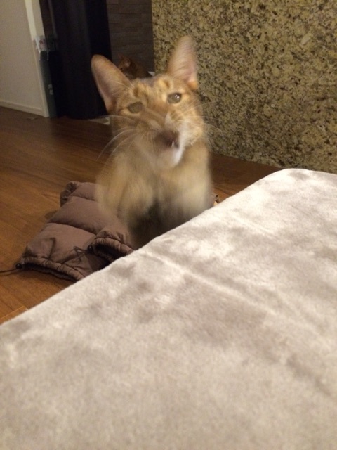 {73BFEFFE-4558-42C8-A048-2921324126A5:01}