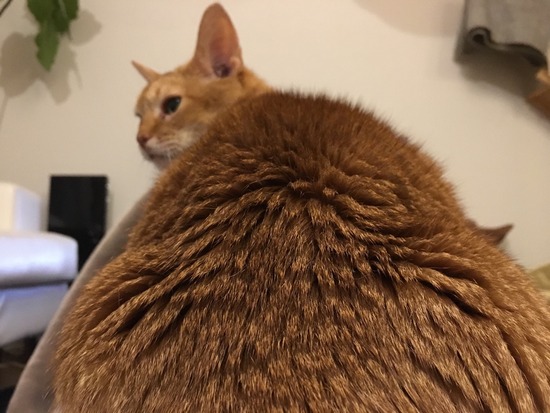 DEDFC016-C04F-4138-A901-25B19A2183CF