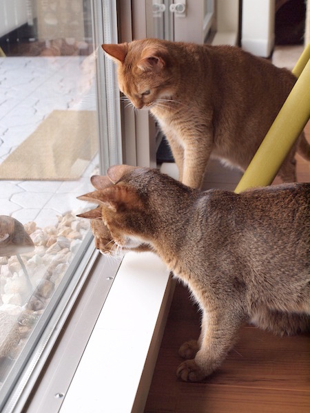 P8114970 のコピー