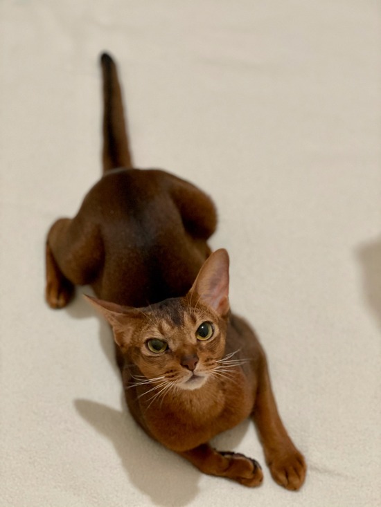 FullSizeRender