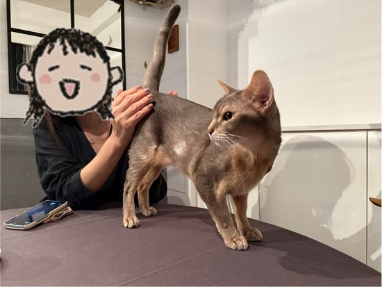 FullSizeRender