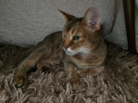 {1BD1A04C-B4AF-44D7-8F39-C9F6D7578924:01}