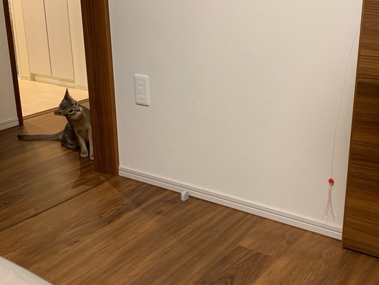 IMG_4762