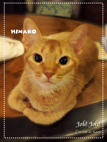 Joli!joli!のブログ-ひなこ