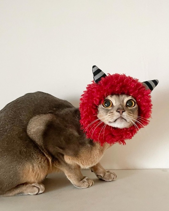 1136E7CA-9EFA-4075-80A7-30B9486895AA