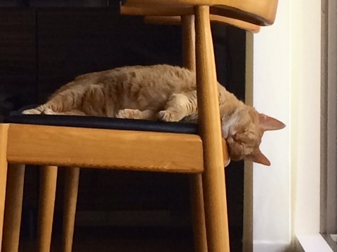 {B7A834E1-D3CC-4687-9686-B5F484D1FC25:01}