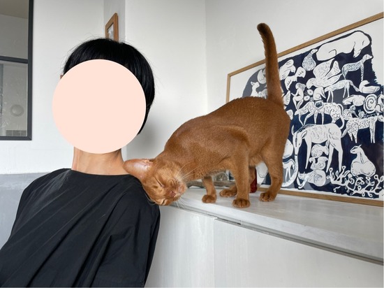FullSizeRender