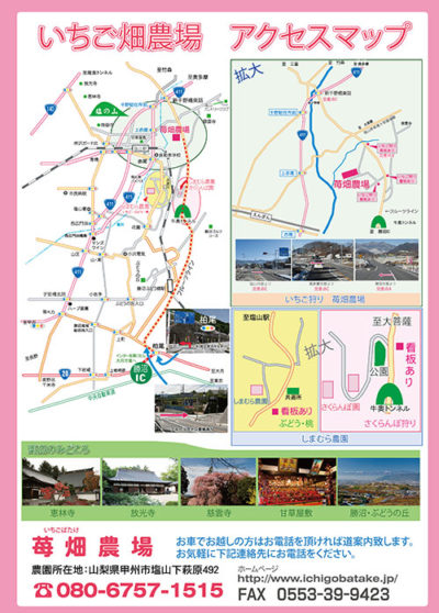 mapi1-e1483864250675