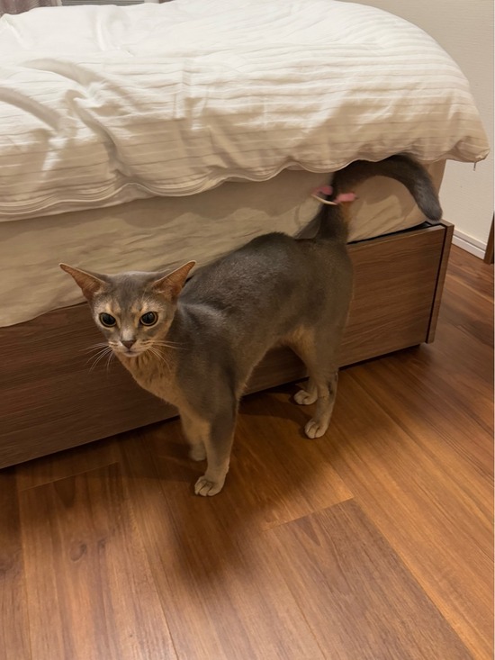 FullSizeRender