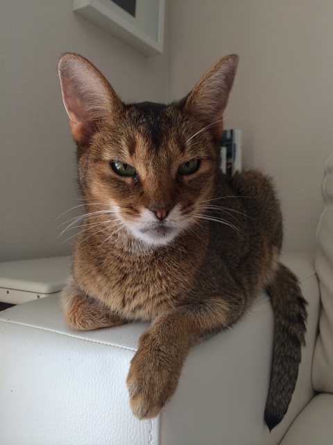 {9ECB16EB-7BAA-439D-8564-7892D37F0E35:01}