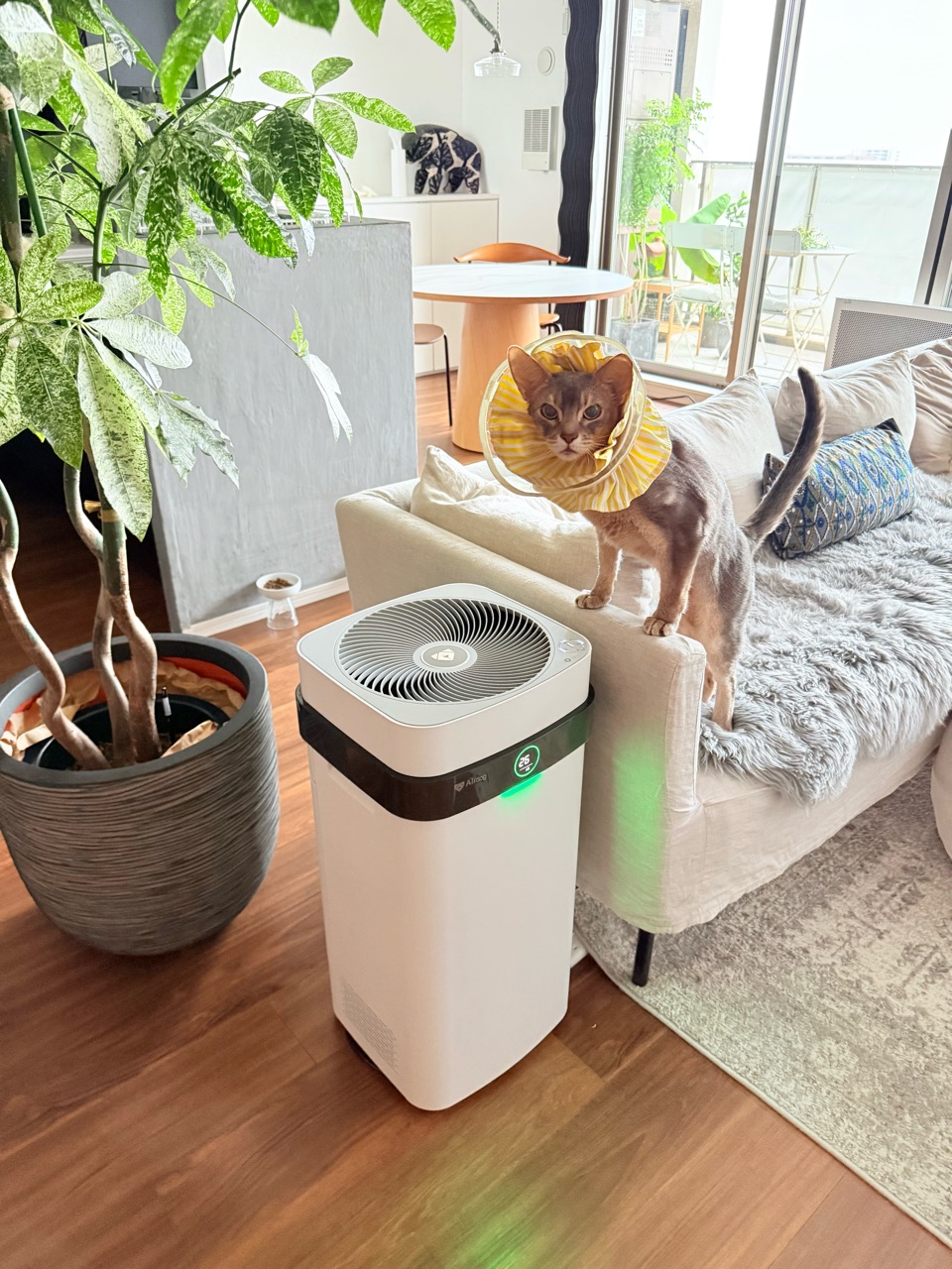 Airdog moi ホワイト 加湿器 置き型 Airdog moi（エアドッグ モイ