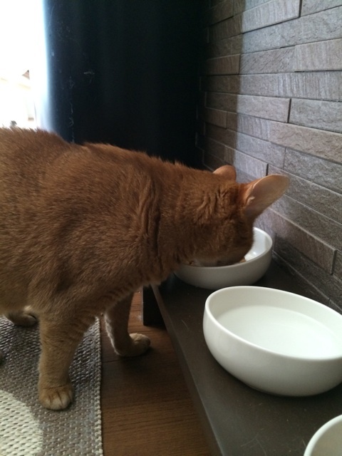 {0C53B8DB-A7D7-43DF-B303-A496C178F709:01}