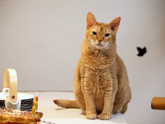 0D8C2B70-22A9-4AAA-8FBE-1DE2BEDB4069