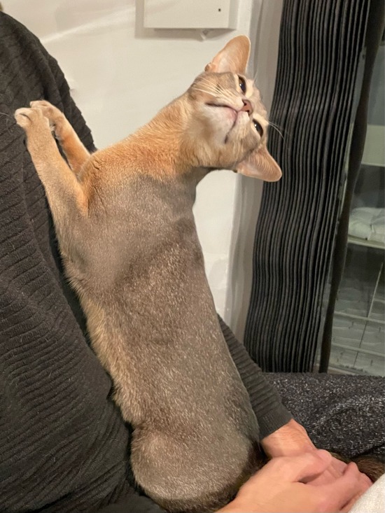 FullSizeRender