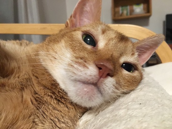 E61FF83F-2EF9-4BA7-950B-7EACB5B00B07