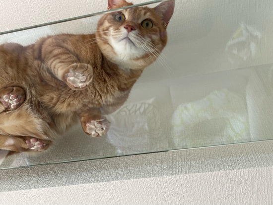 FullSizeRender