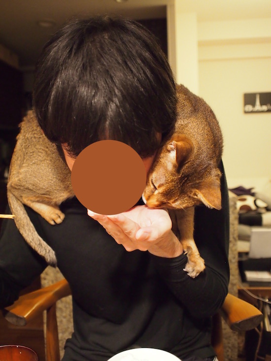 PC132147 のコピー