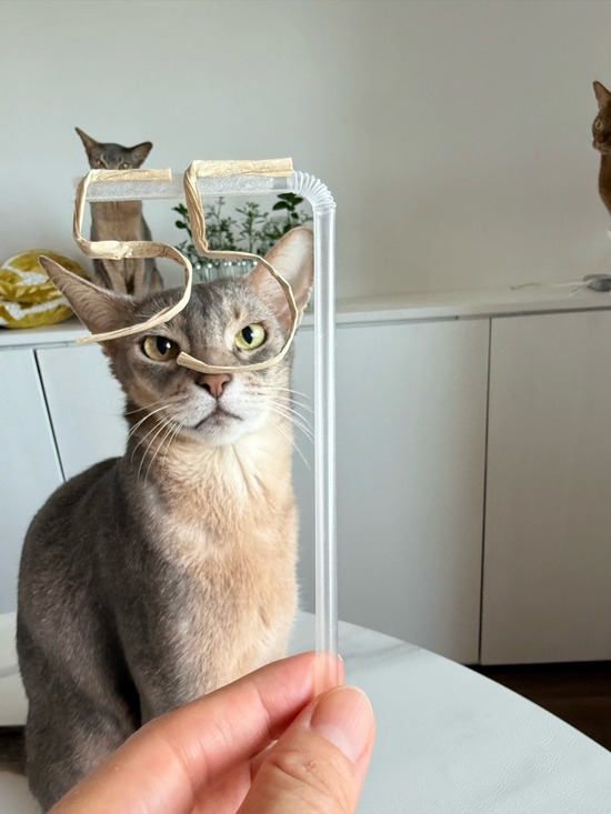 FullSizeRender